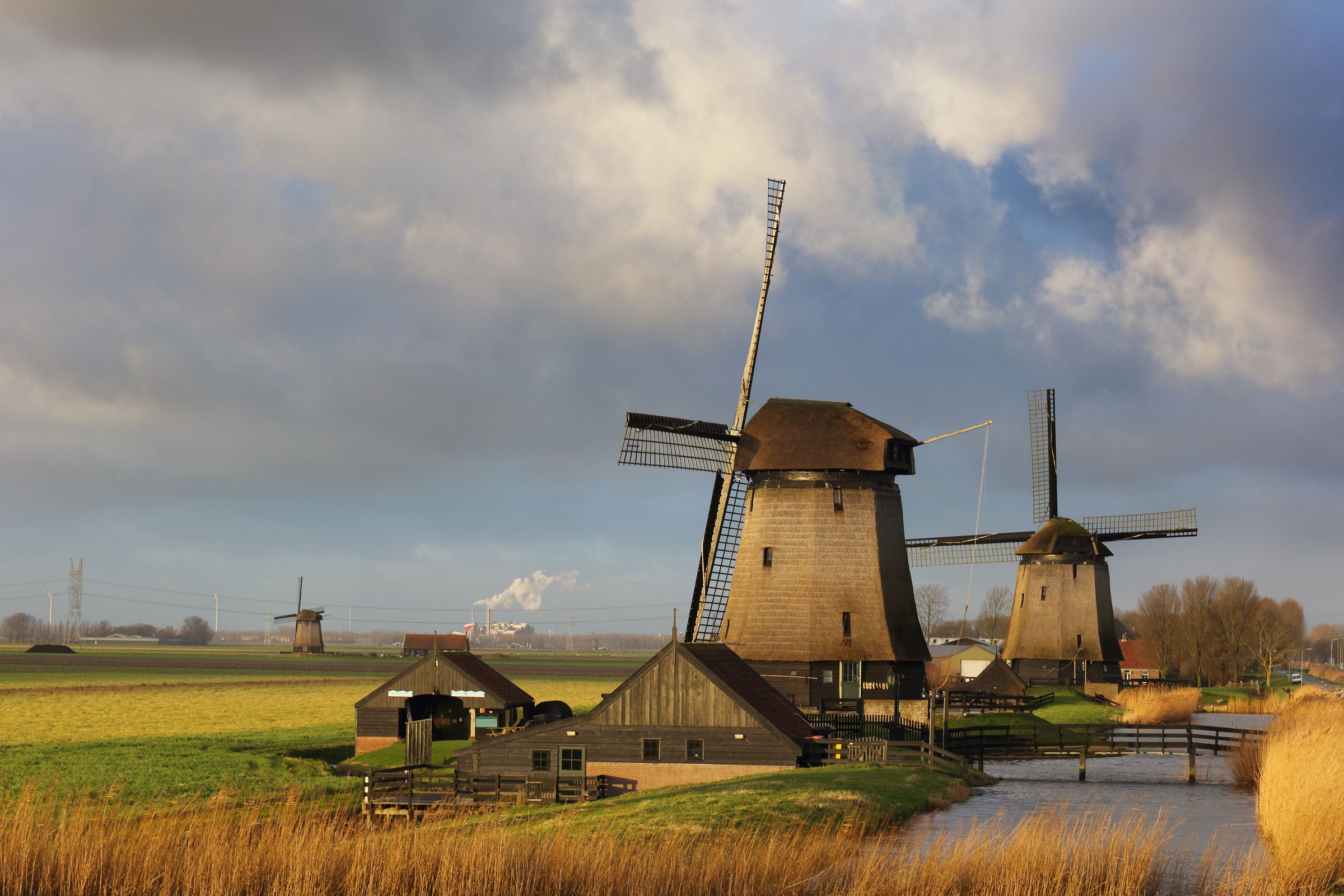 Windmühlen bei Schermerhorn