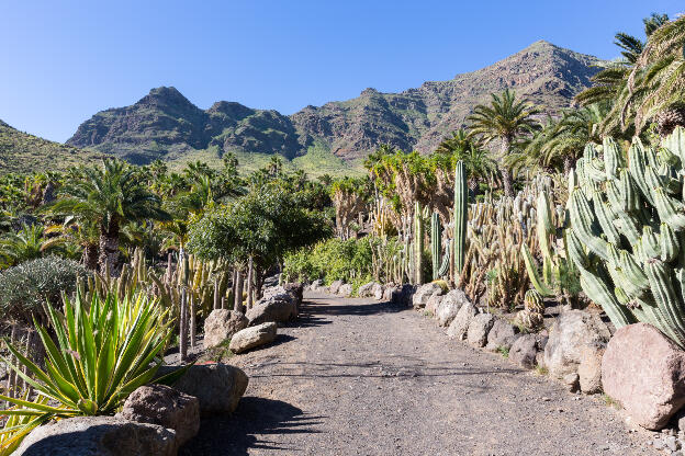 Cactualdea Park Gran Canaria