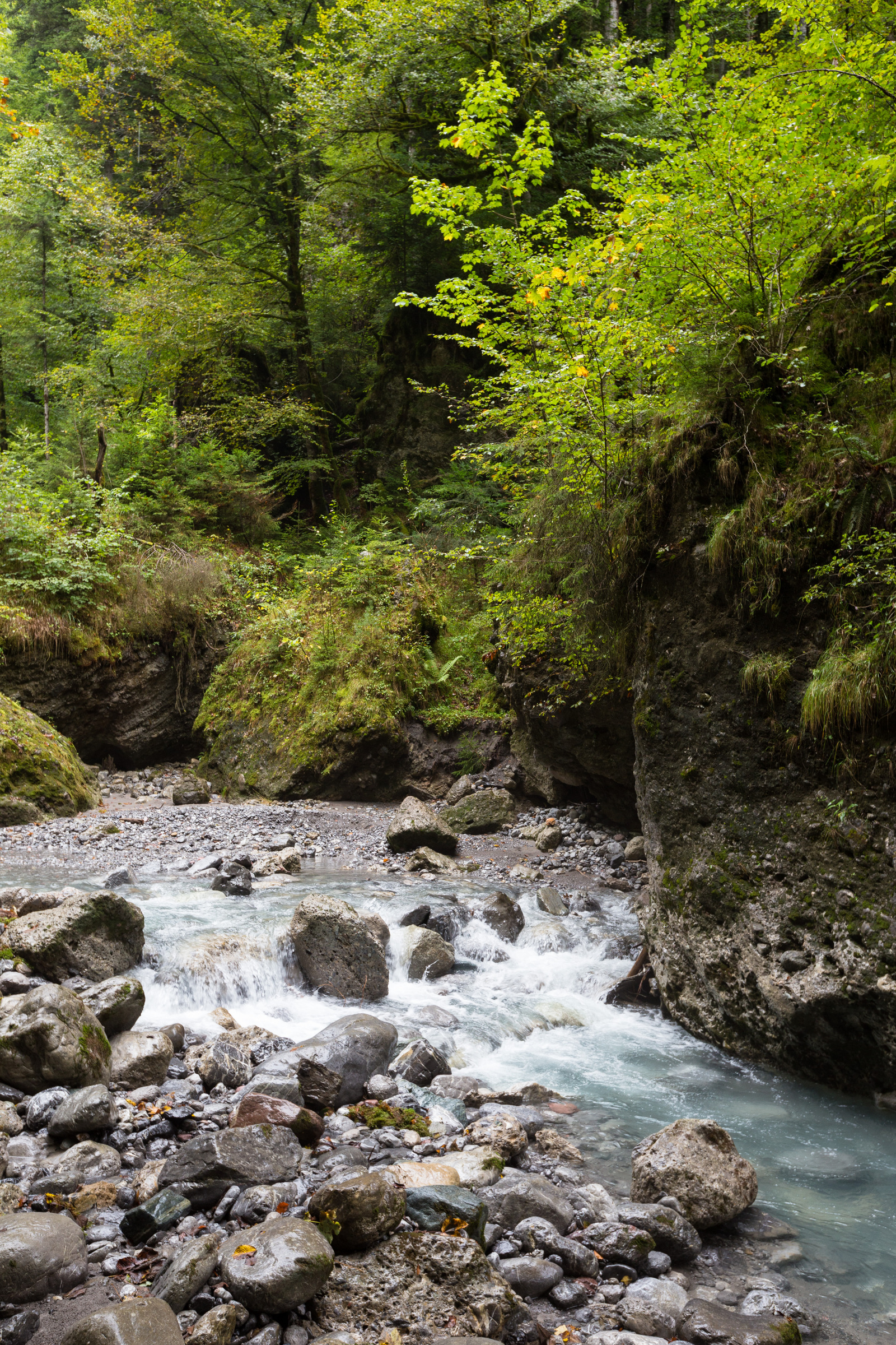 Stromschnellen in der Bürserschlucht