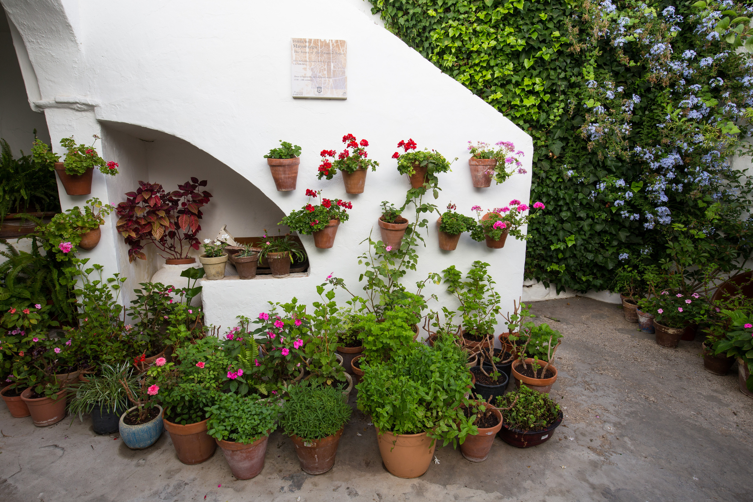 versteckter Innenhof mit Blumentöpfen