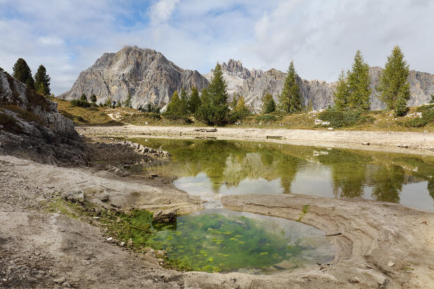 Wasserquelle und Algen am Lago di Limides