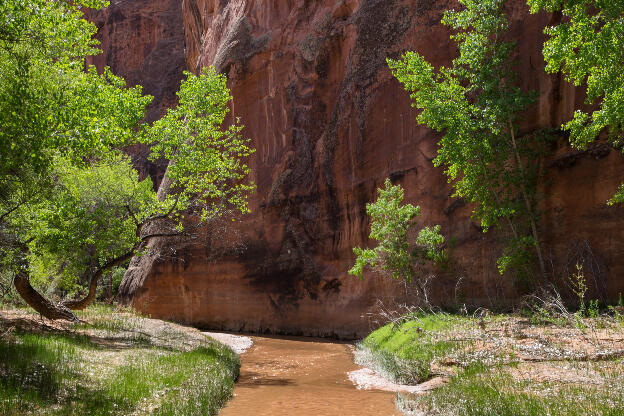 Coyote Creek fließt an der Canyonwand entlang
