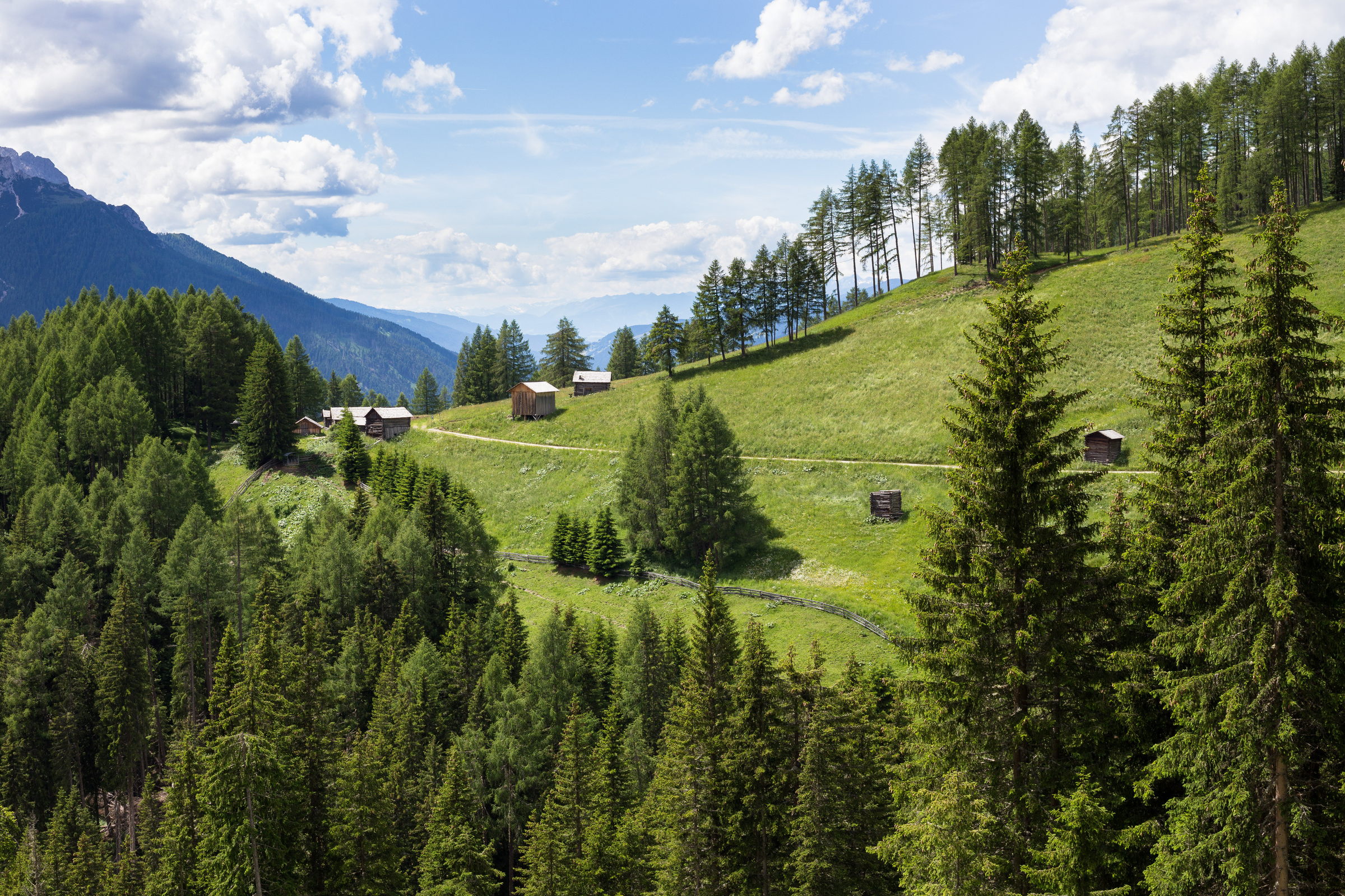 Alm im Hochpustertal