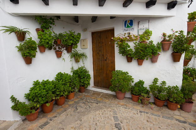 Hauswand mit Blumentöpfe in Andalusien