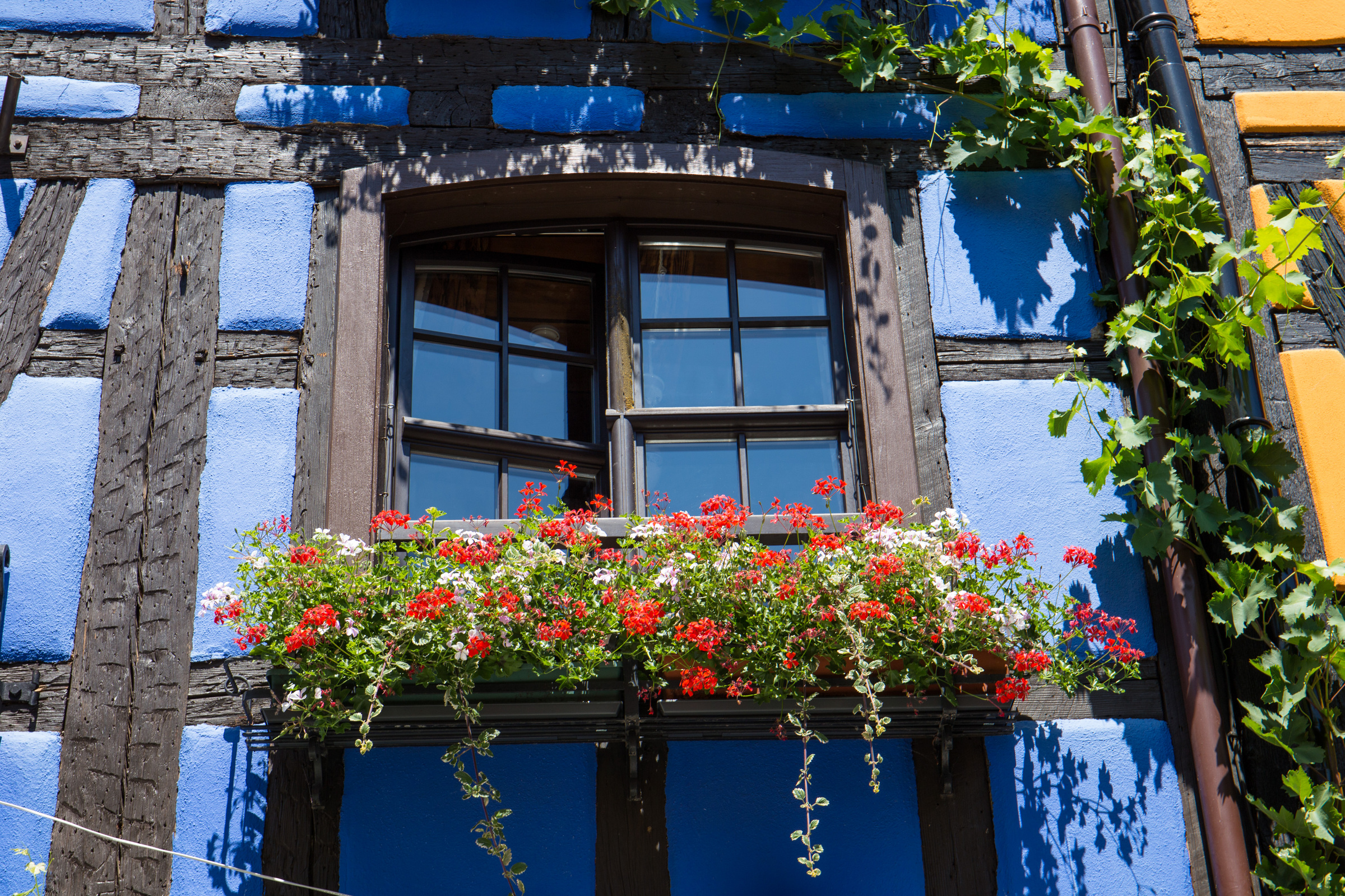 Fenster mit Blumen am Fachwerkhaus