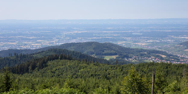Ausblick von der Schwarzwaldhochstraße auf die Rheinebene