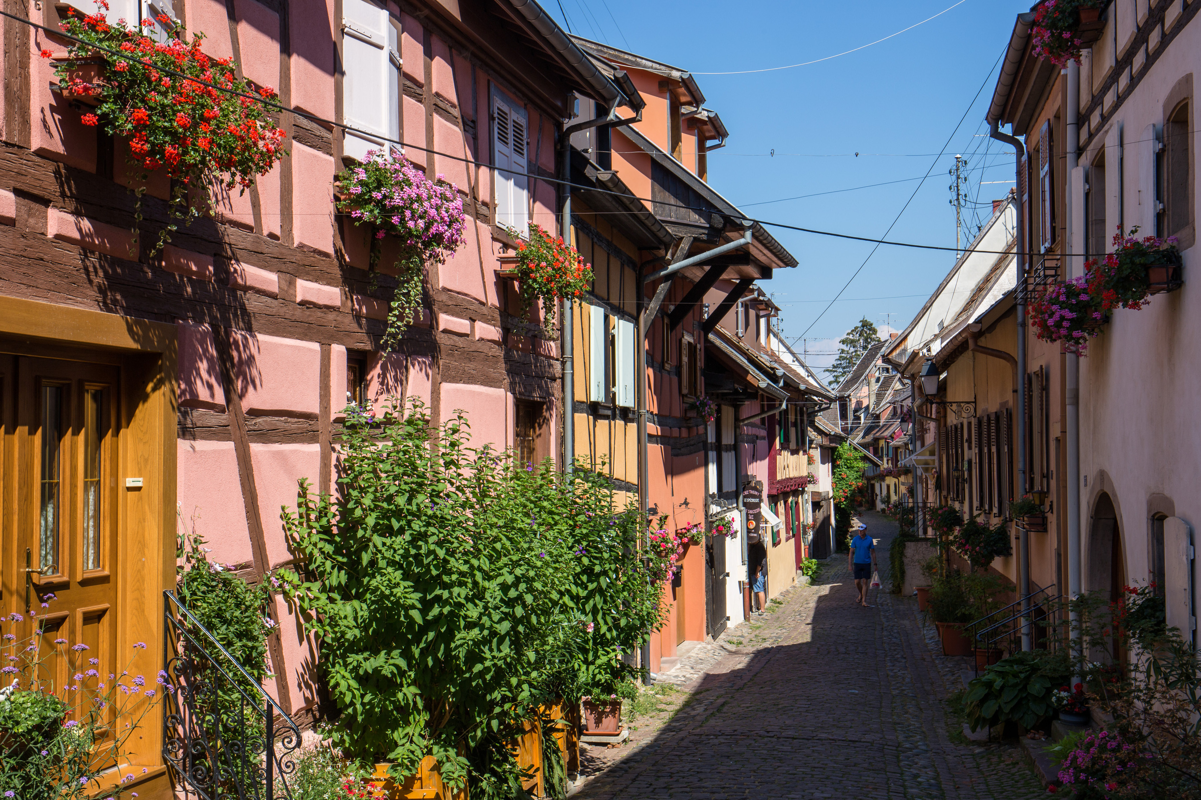 enge Gasse mit Fachwerkhäusern in Eguisheim