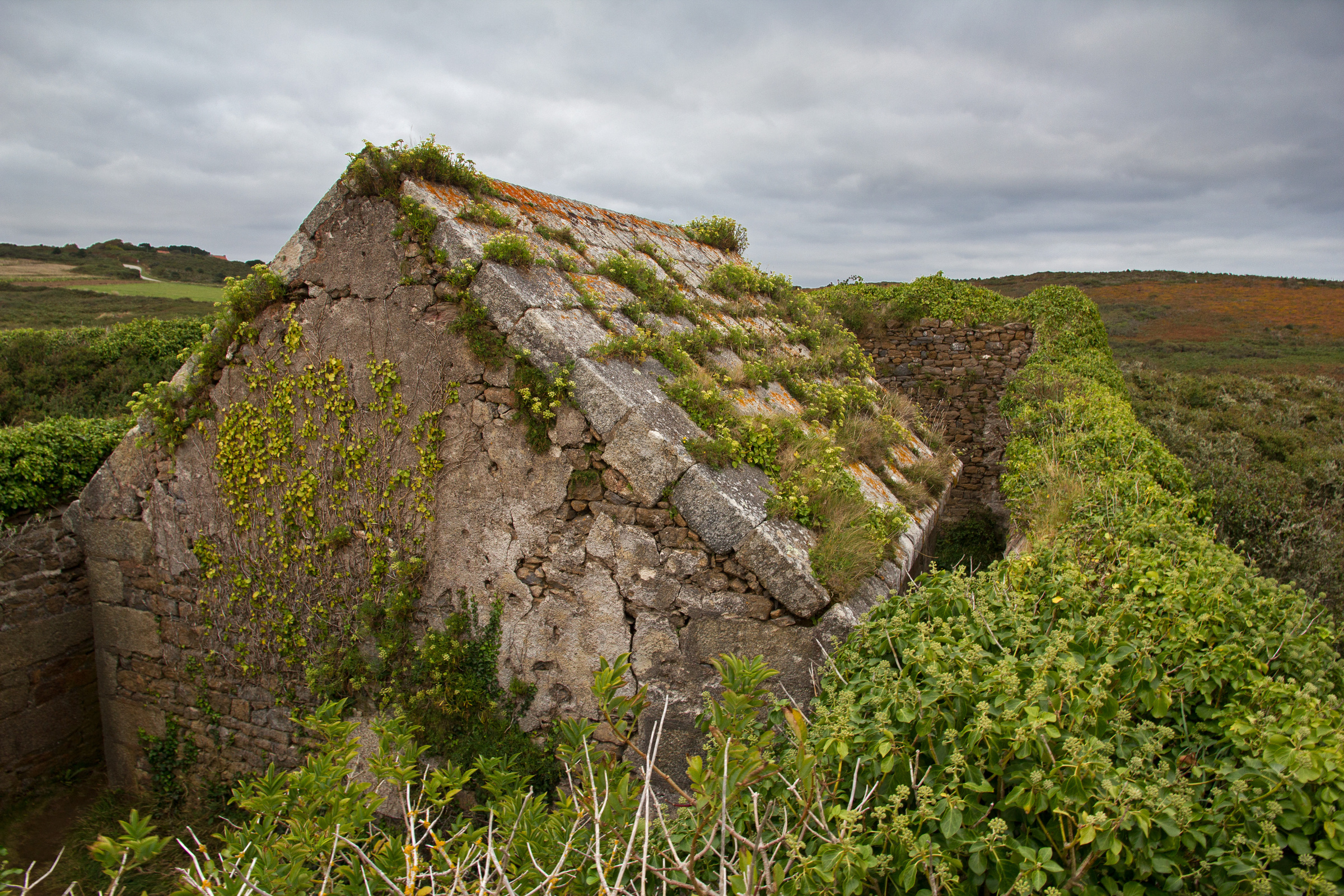 zugewachsene Hausruine