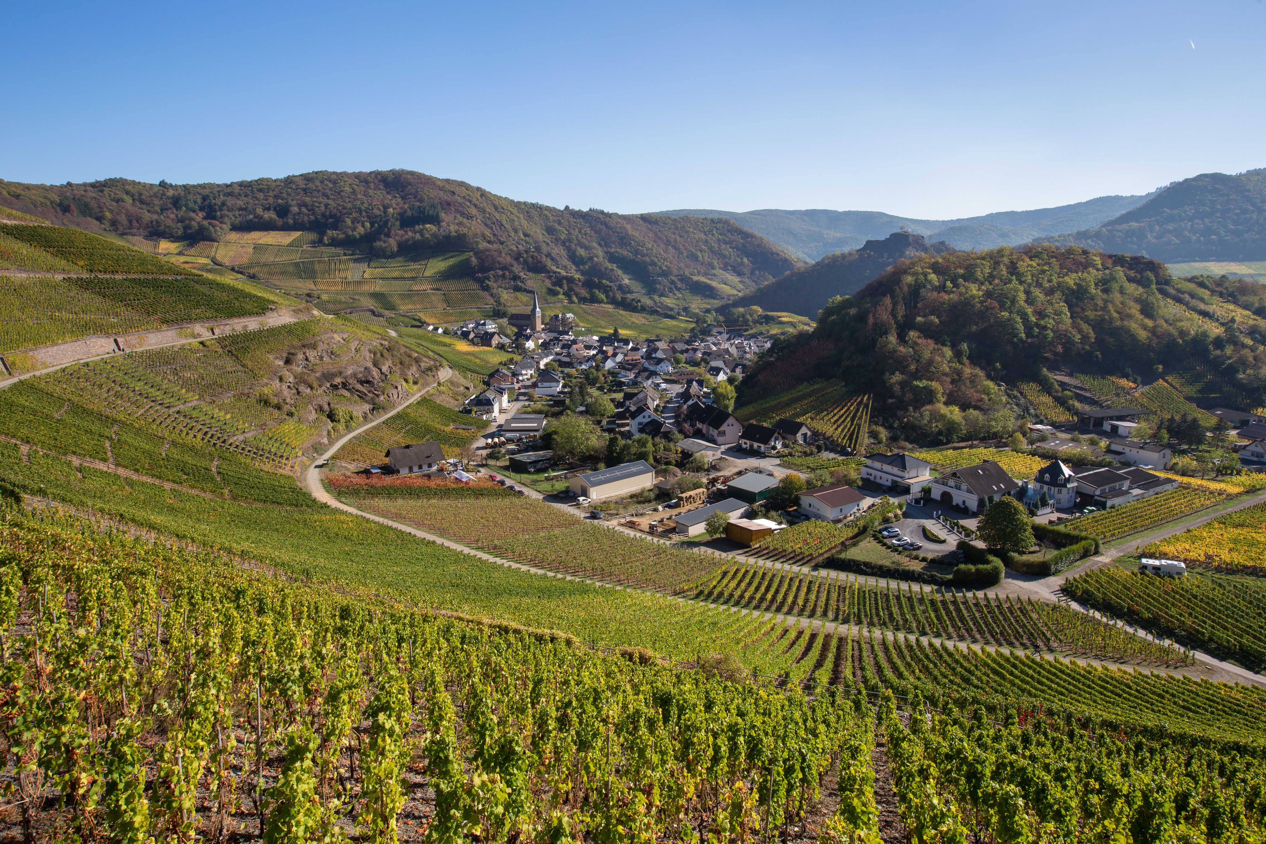 Weinanbaugebiet Ahrtal