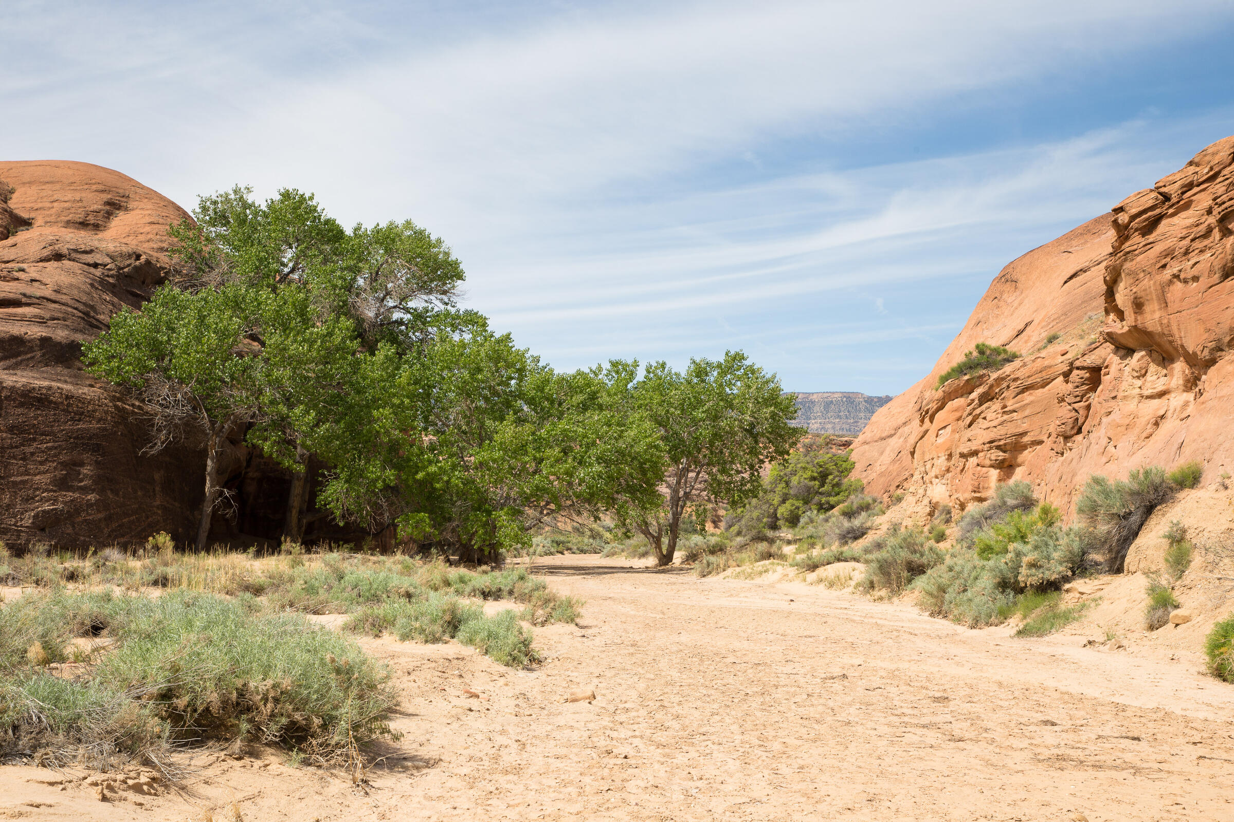 ausgetrocknetes Flussbett des Dry Fork Wash