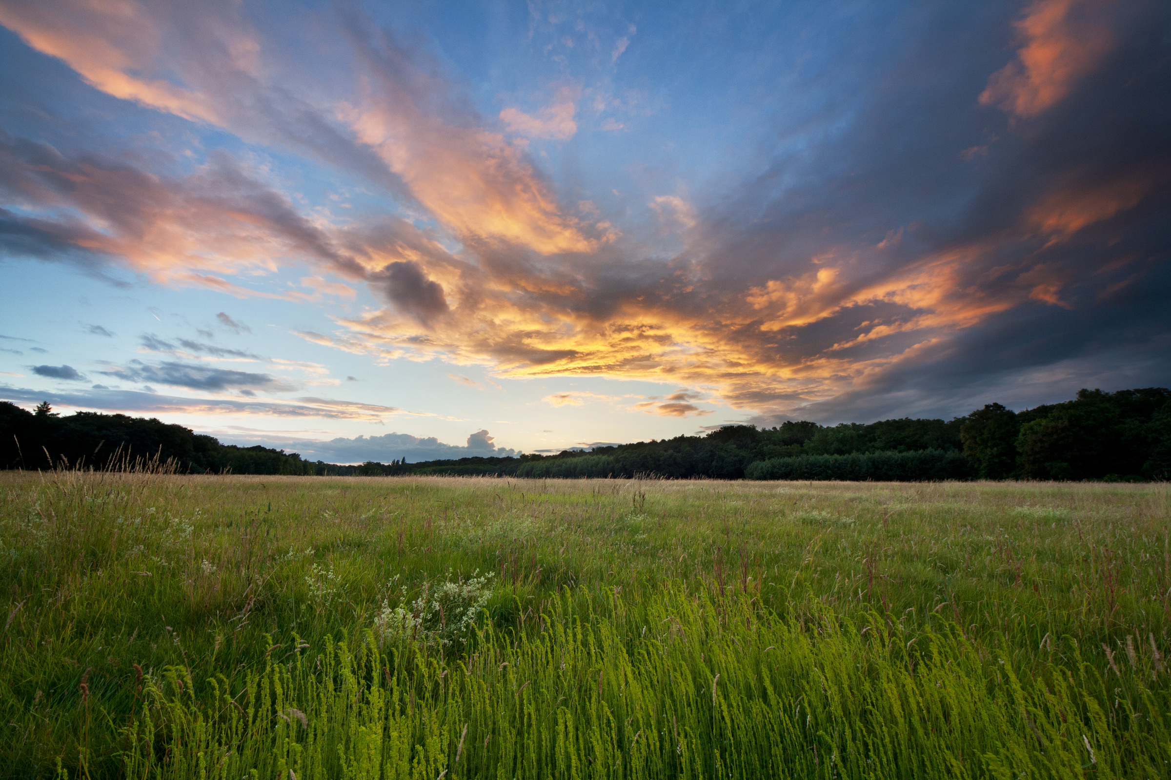 Sonnenuntergang über einer Wiese