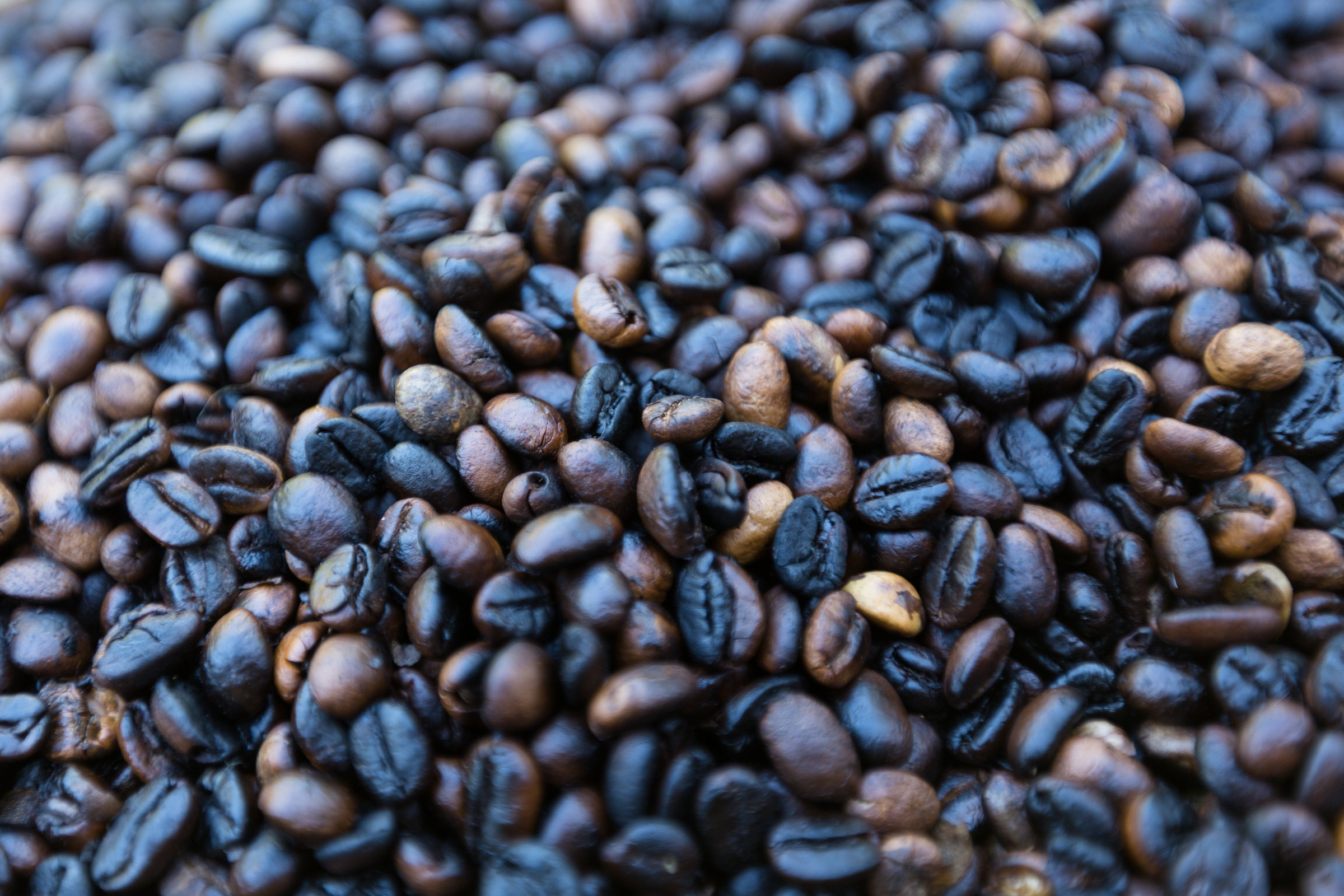 Kaffeebohnen
