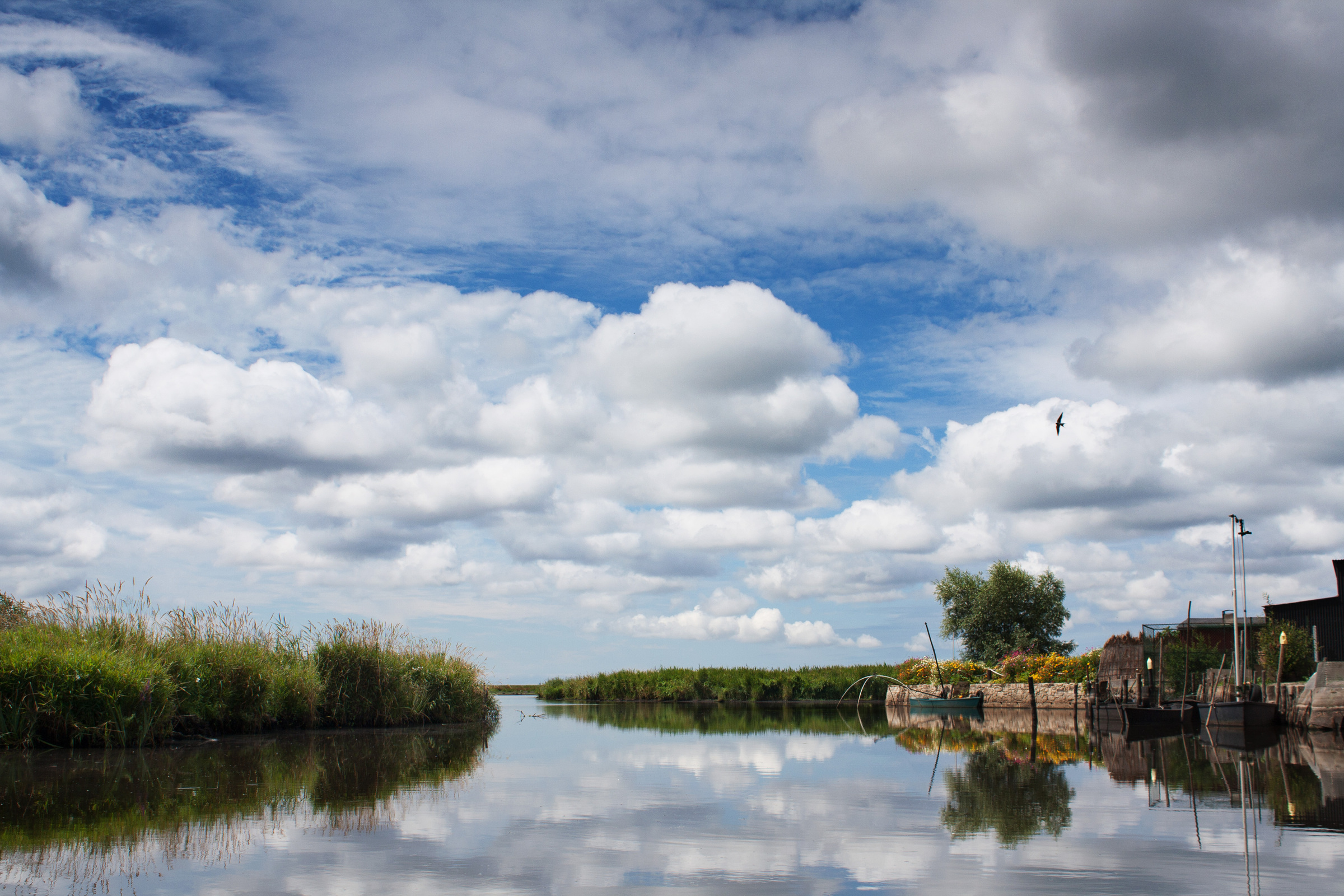 Kanal im Grande Brière