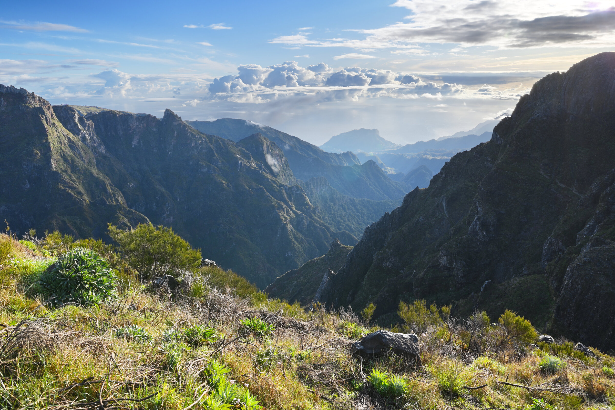 2024-04-Madeira_2689