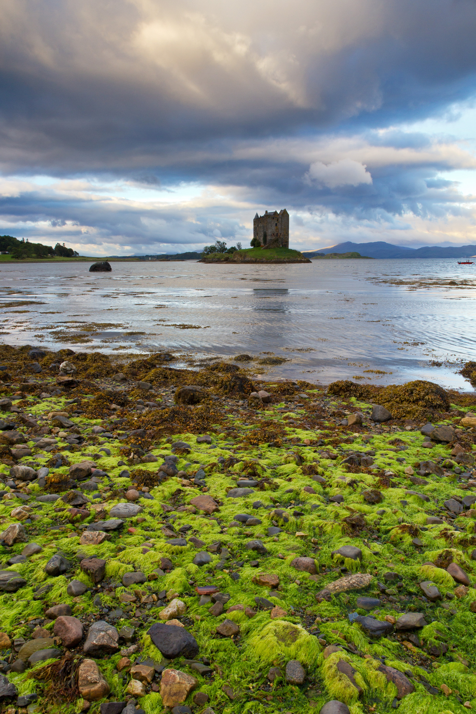 Algen am Castle Stalker