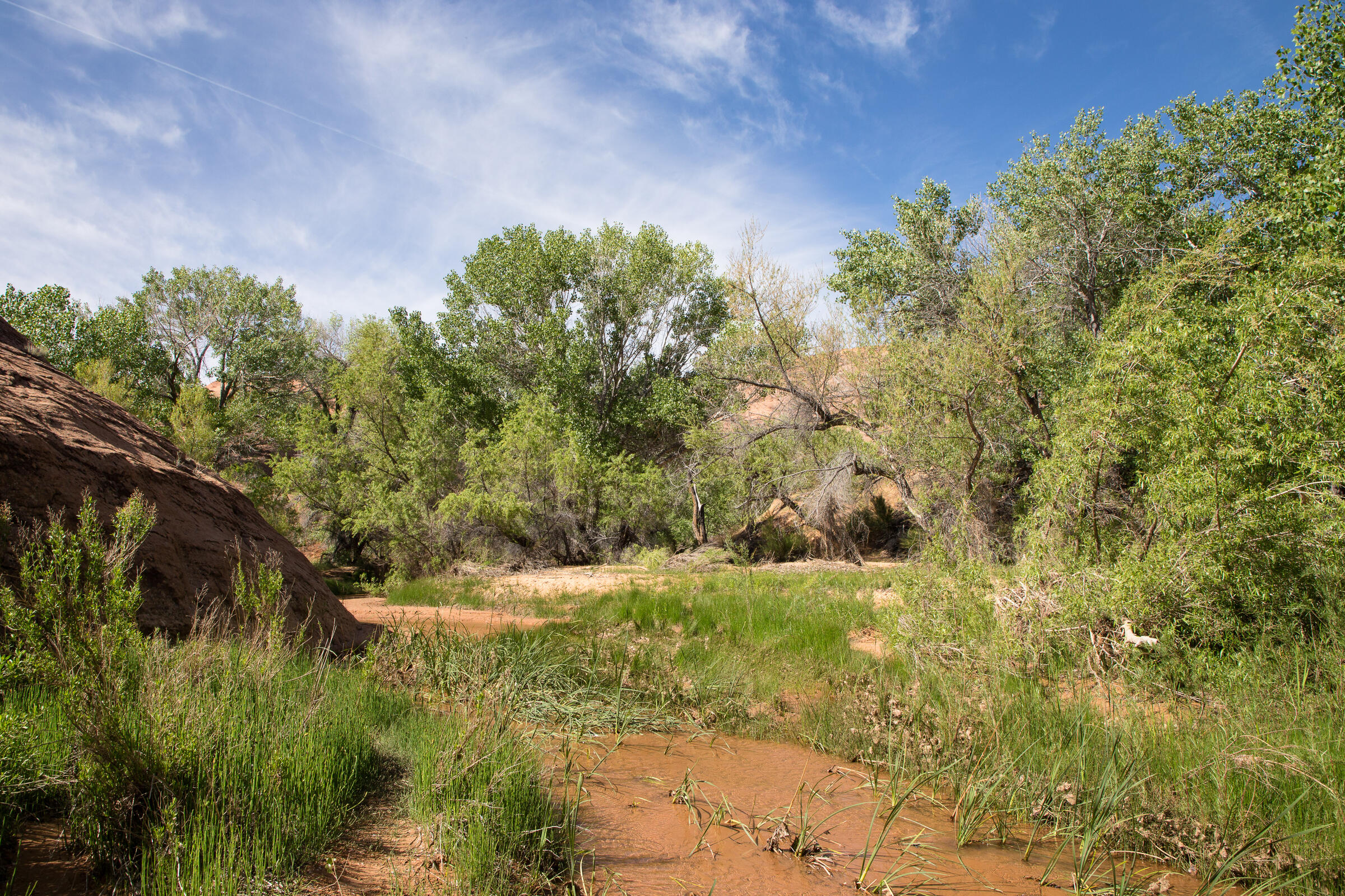 Coyote Creek im Dry Fork Wash