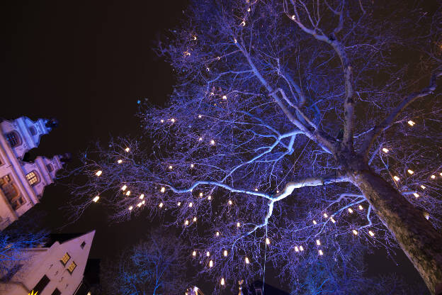 Beleuchteter Baum auf dem Weihnachtsmarkt