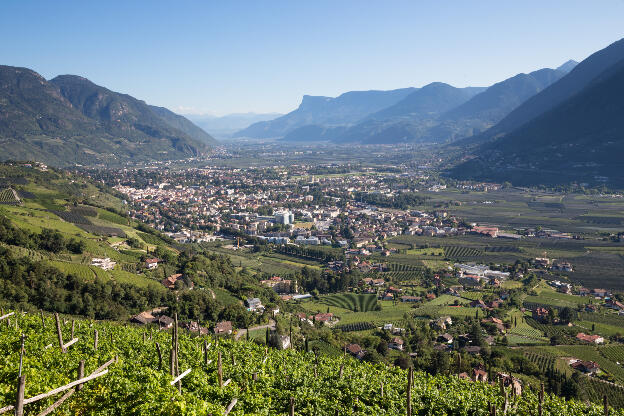 Blick von Dorf Tirol in das Etschtal und auf Meran