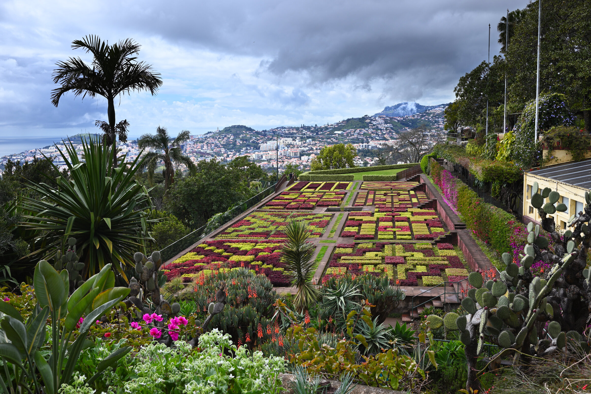 2024-04-Madeira_0101