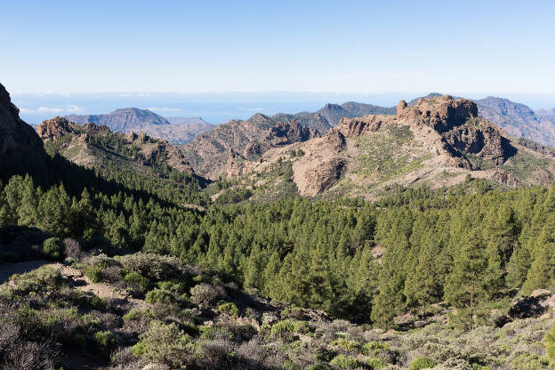 Ausblick auf die Berglandschaft und Kiefernwald von Gran Canaria