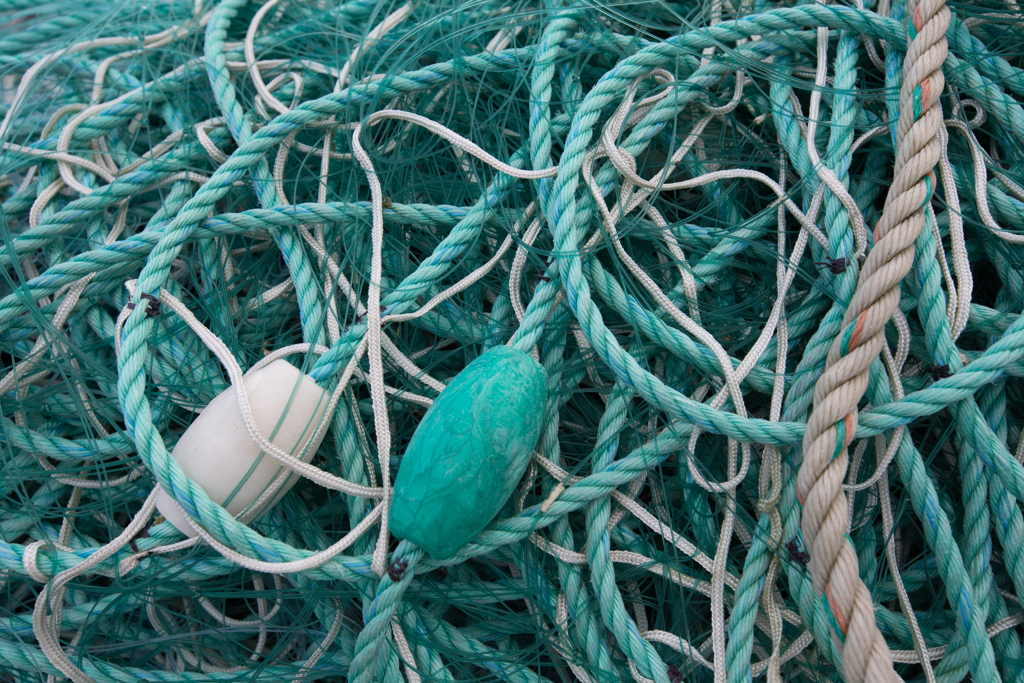 Grünes Fischernetz