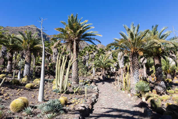 Kaktusgarten Gran Canaria