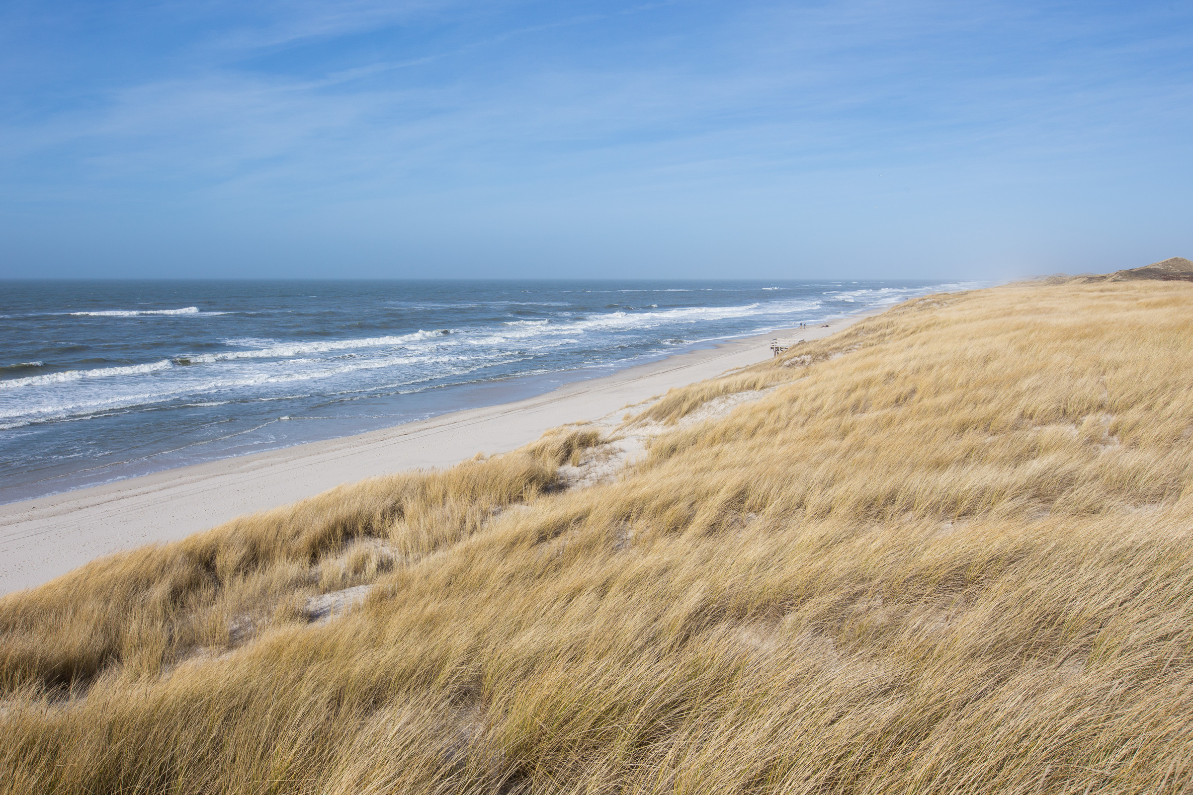 Dünen auf Sylt