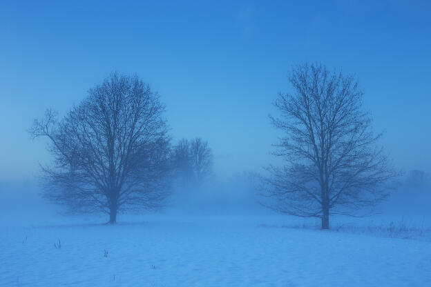 Nebel in den Siegauen im Winter