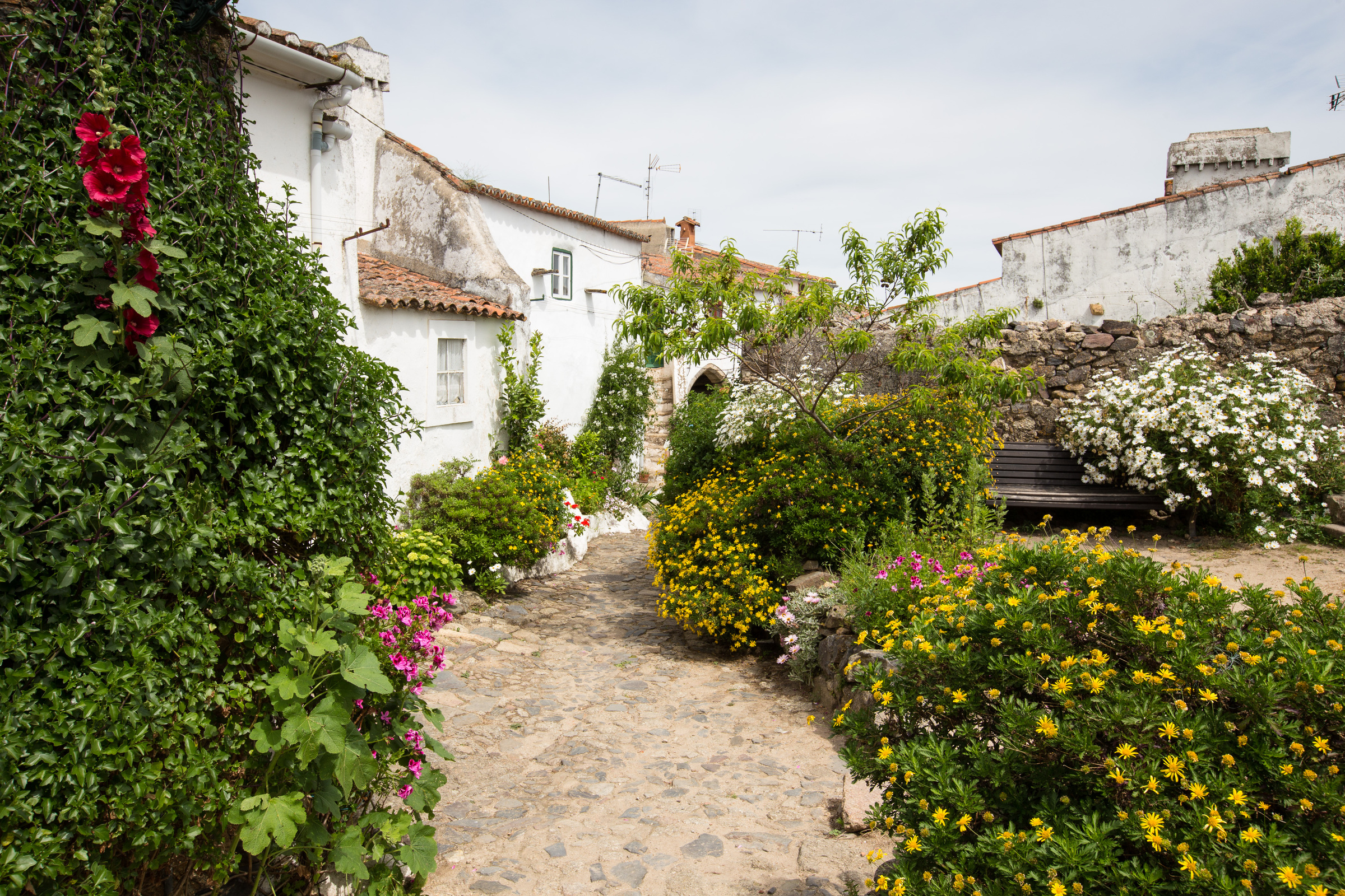 Hinterhof mit Blumen in Monsanto