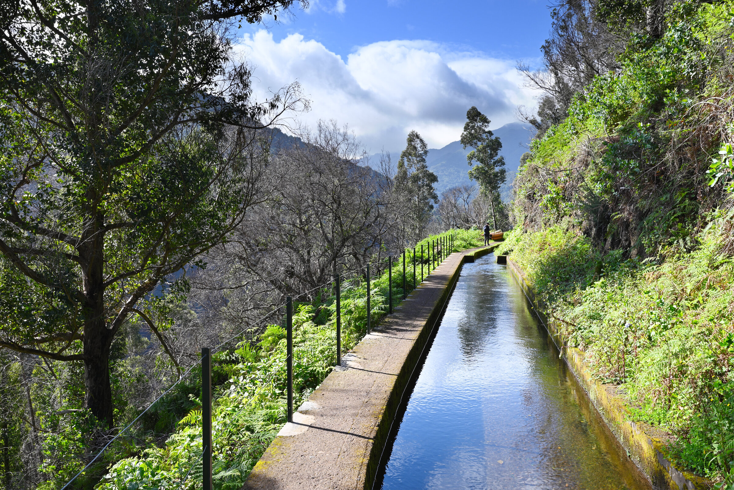 2024-04-Madeira_0983