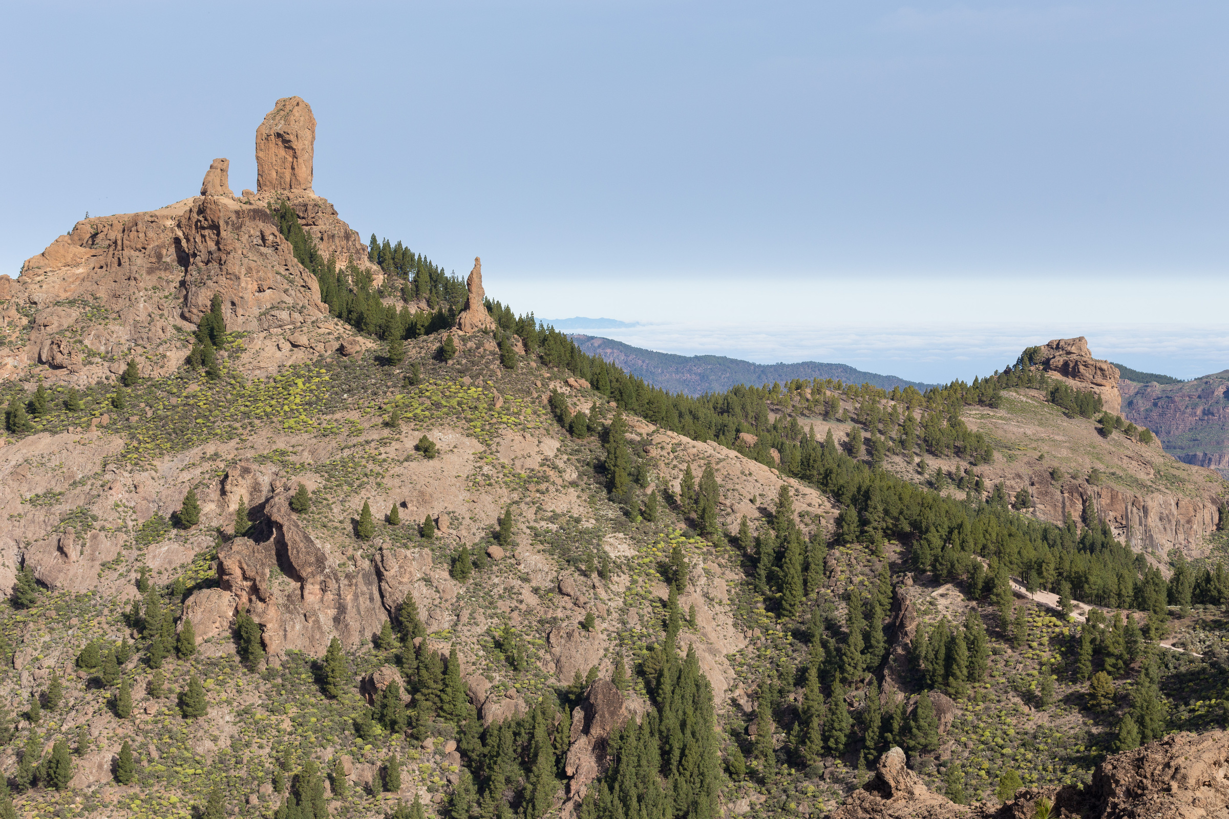 Felsen am Roque Nublo