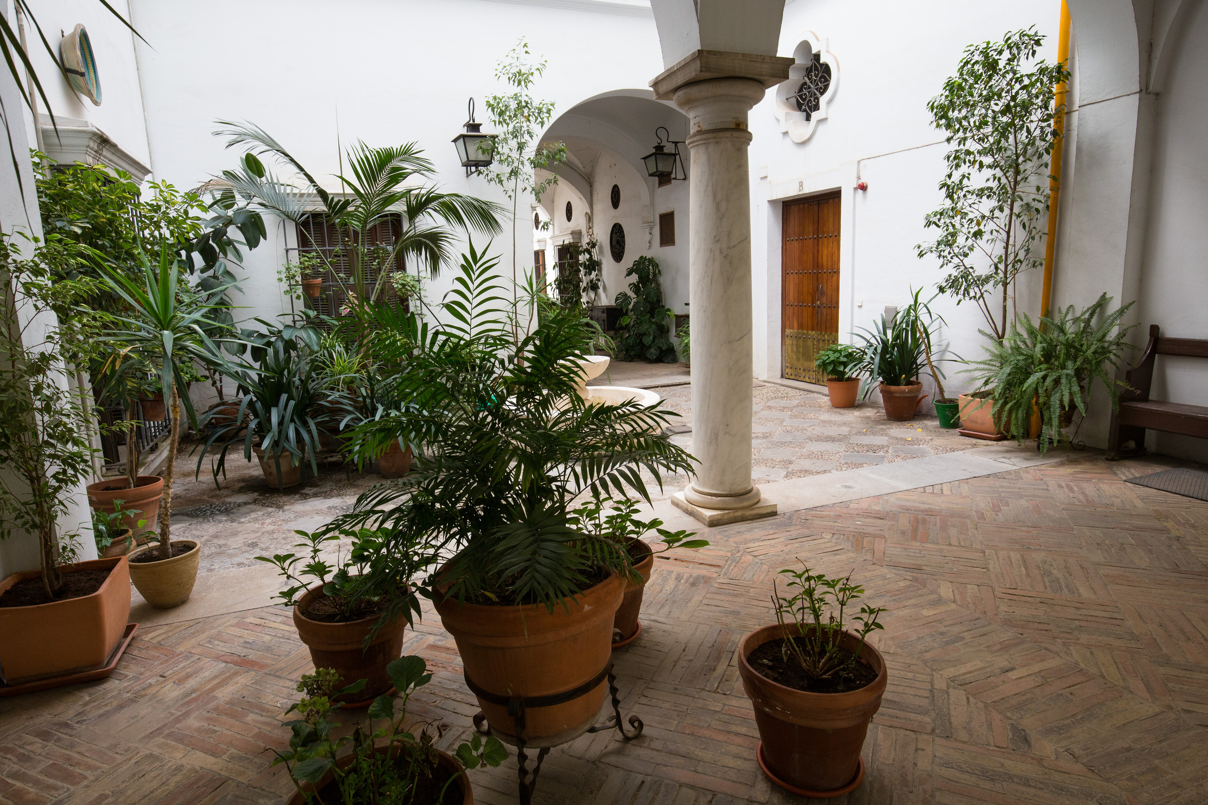 Pflanzen im Innenhof