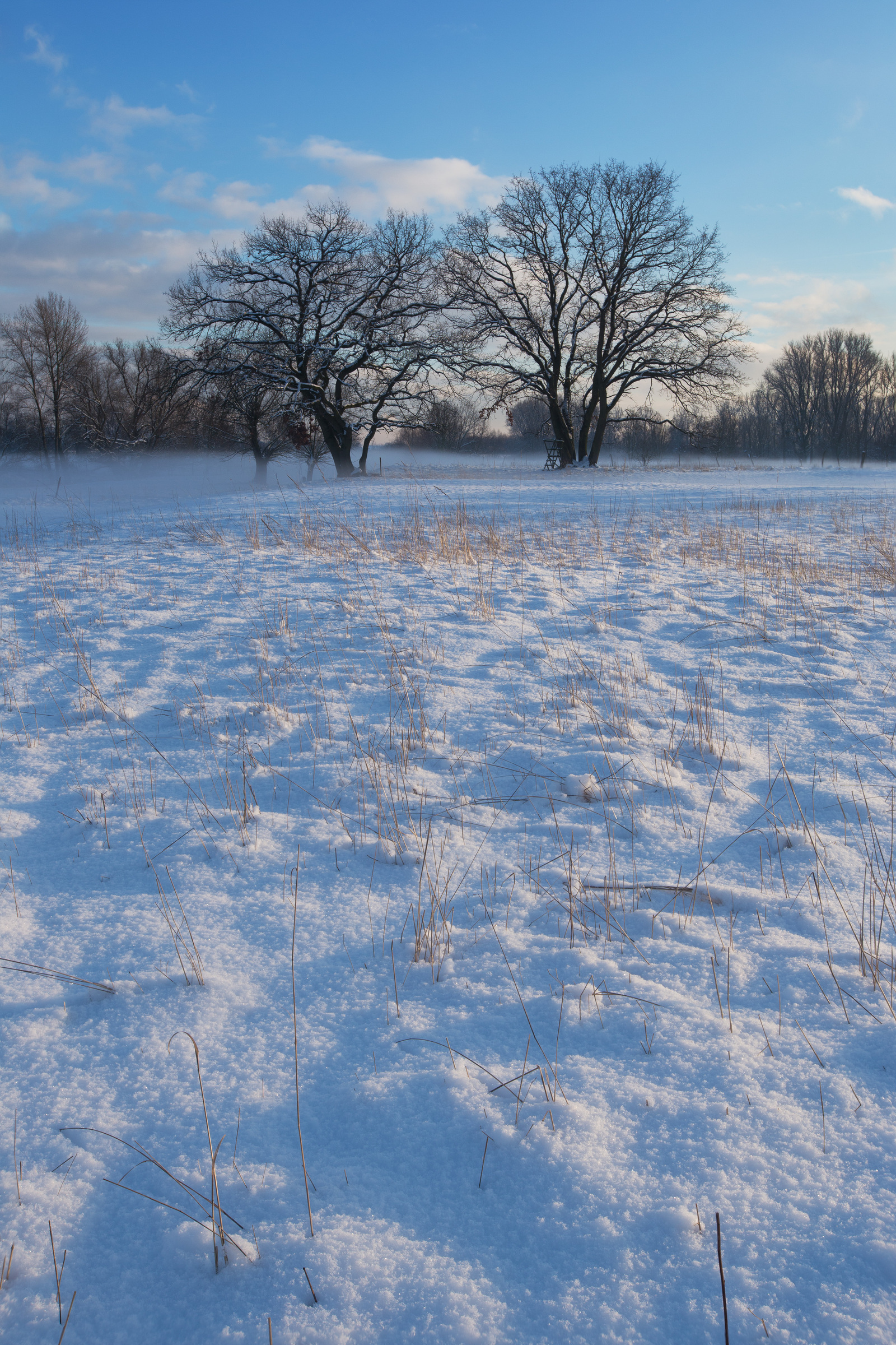 schneebedeckte Auenlandschaft im Winter