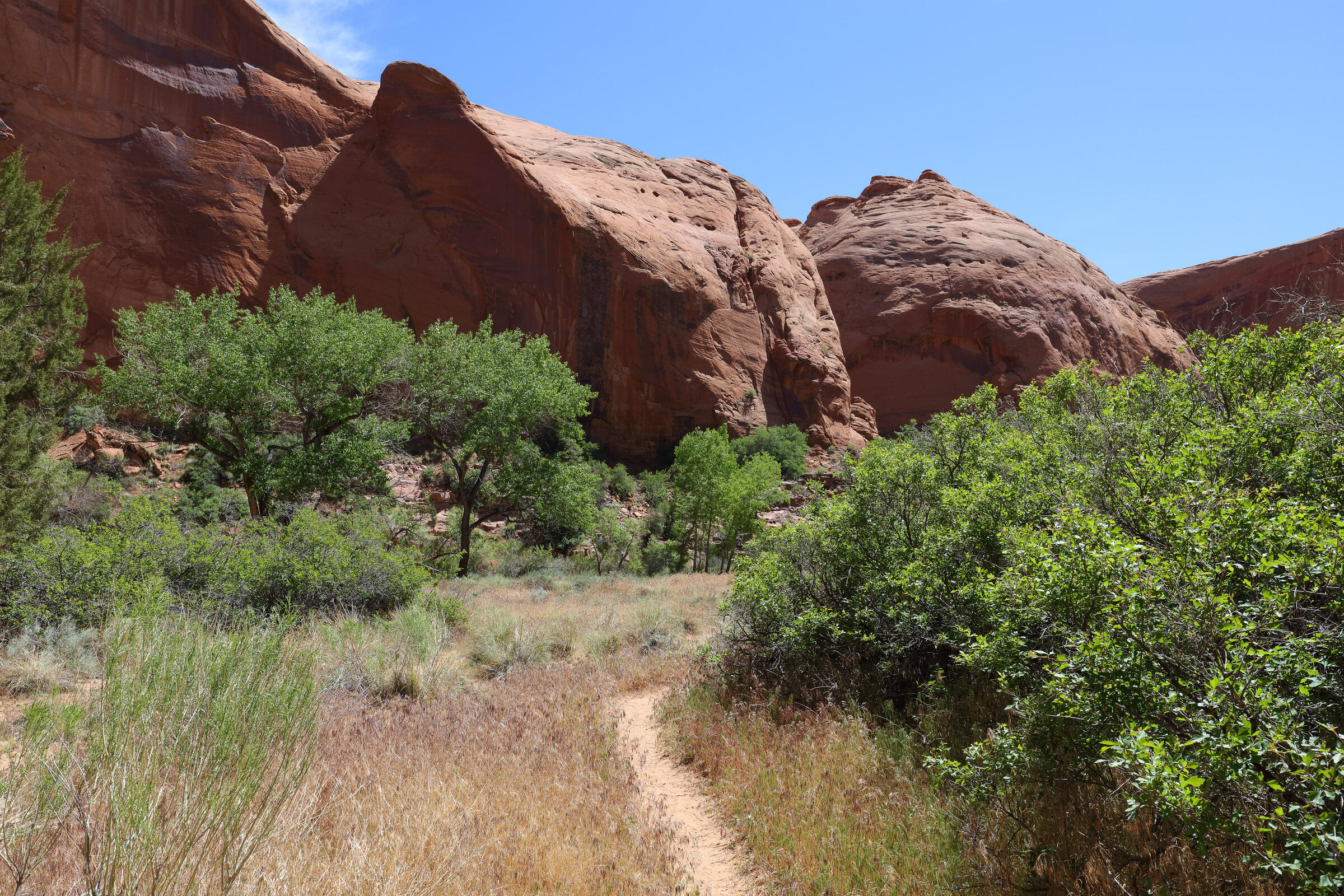 Wanderweg im Coyote Gulch