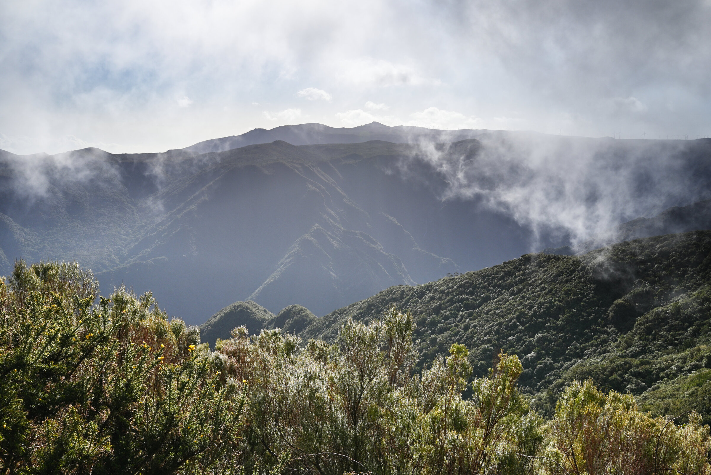 2024-04-Madeira_0505