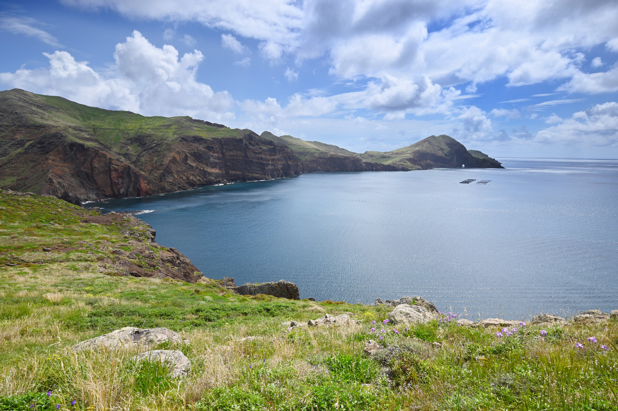 2024-04-Madeira_3155