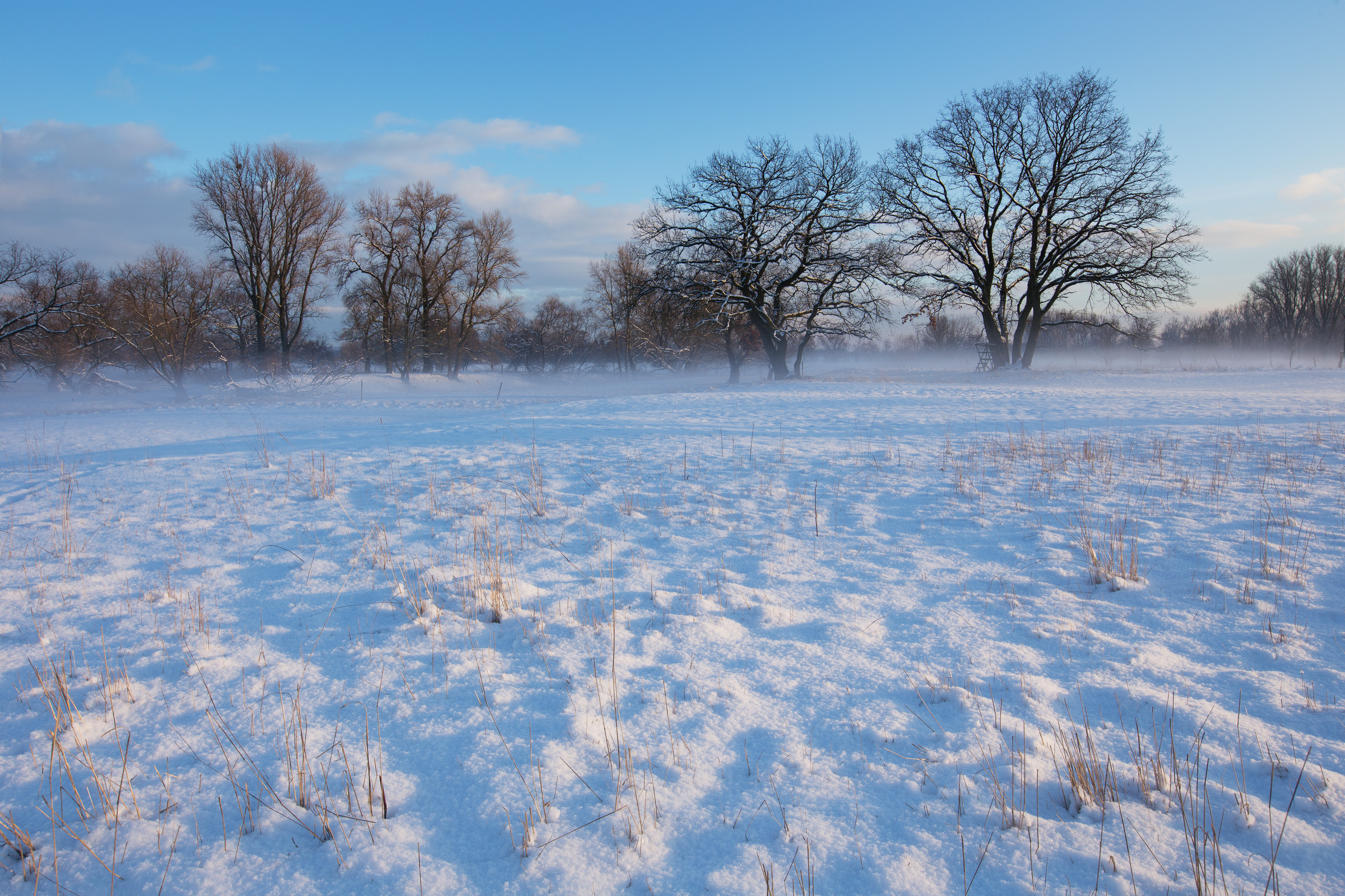 Nebelbildung in den Siegauen im Winter