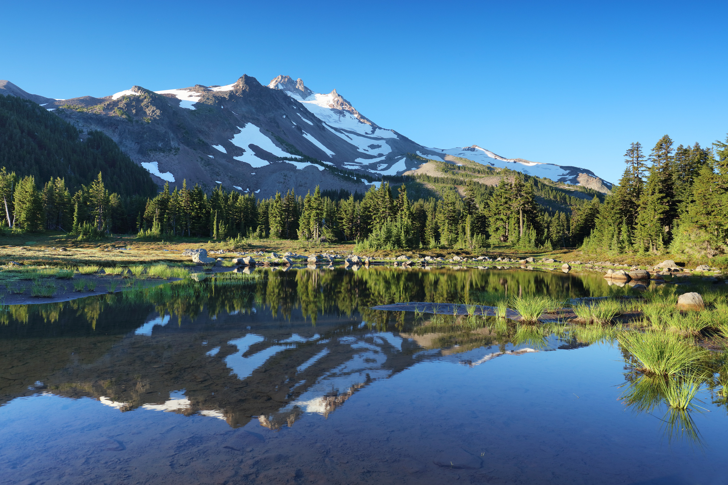 Mt. Jefferson Spiegelung in einem Teich