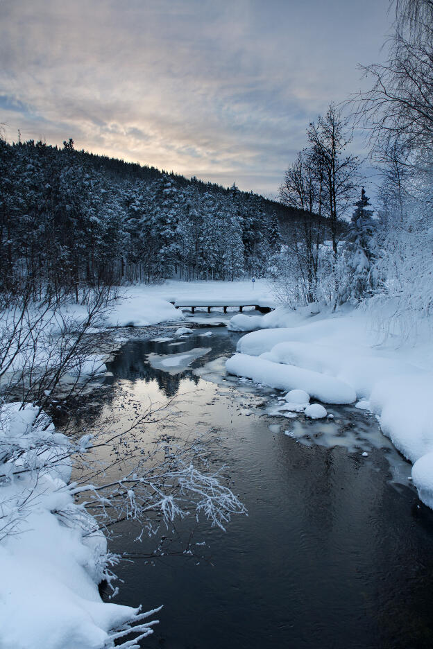 Bachlauf in Lappland im Winter