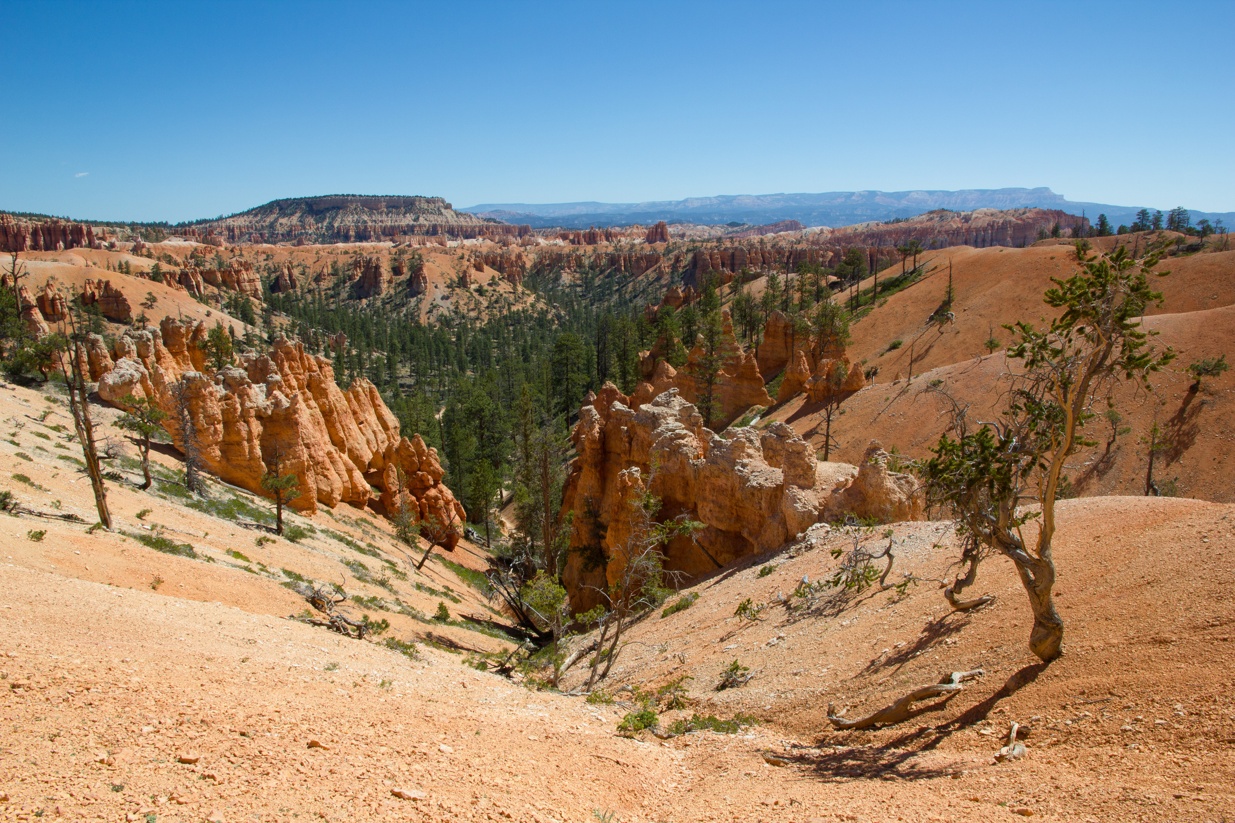 Bryce Canyon Nationalpark