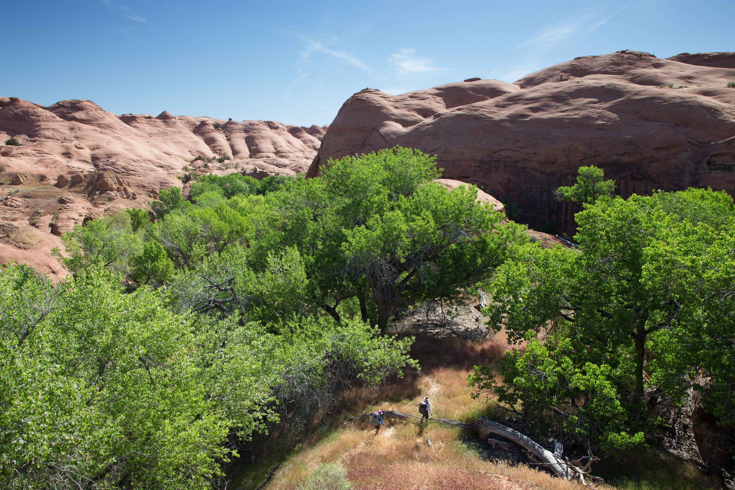 Wanderer im Dry Fork Wash