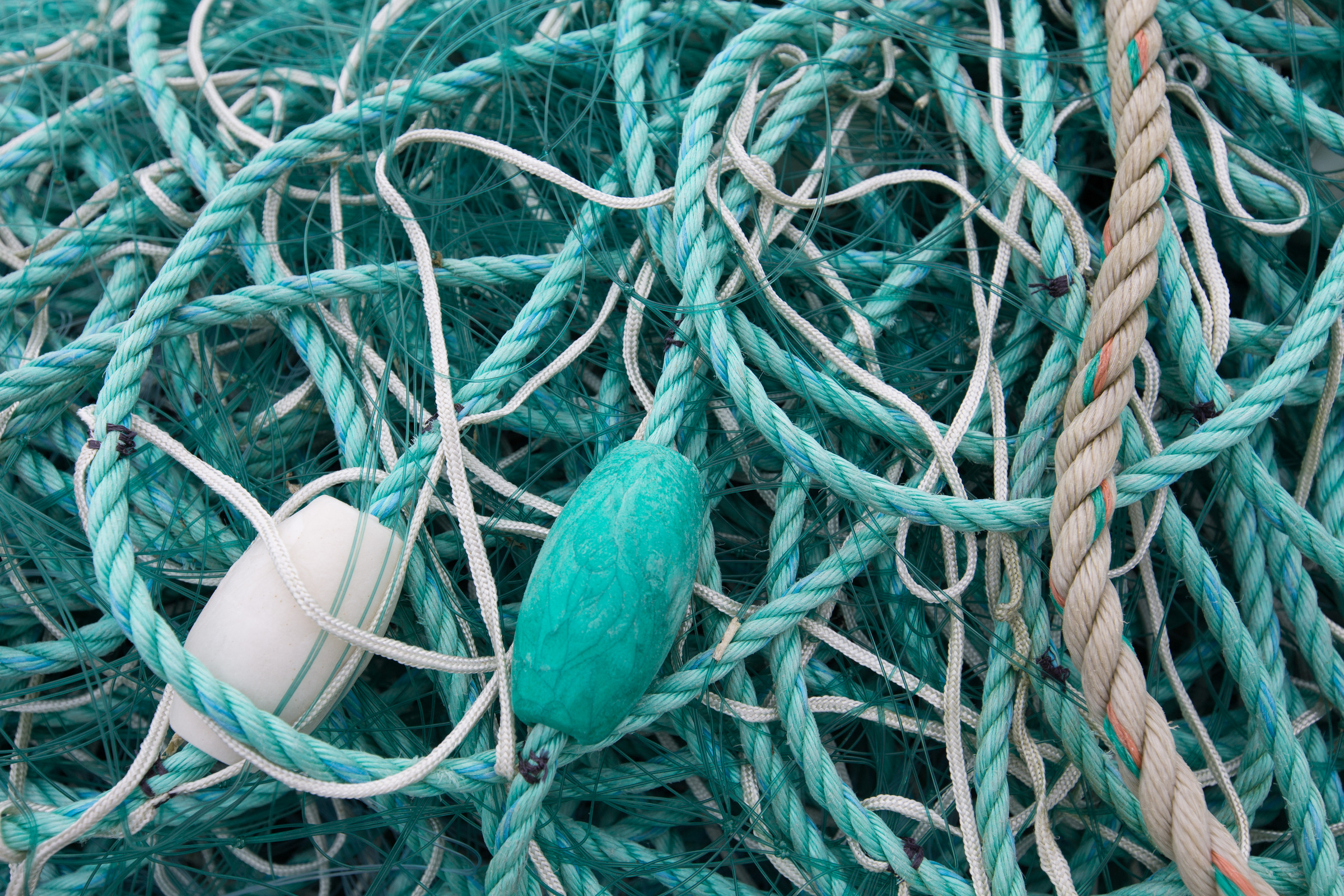 Fischerei Seile