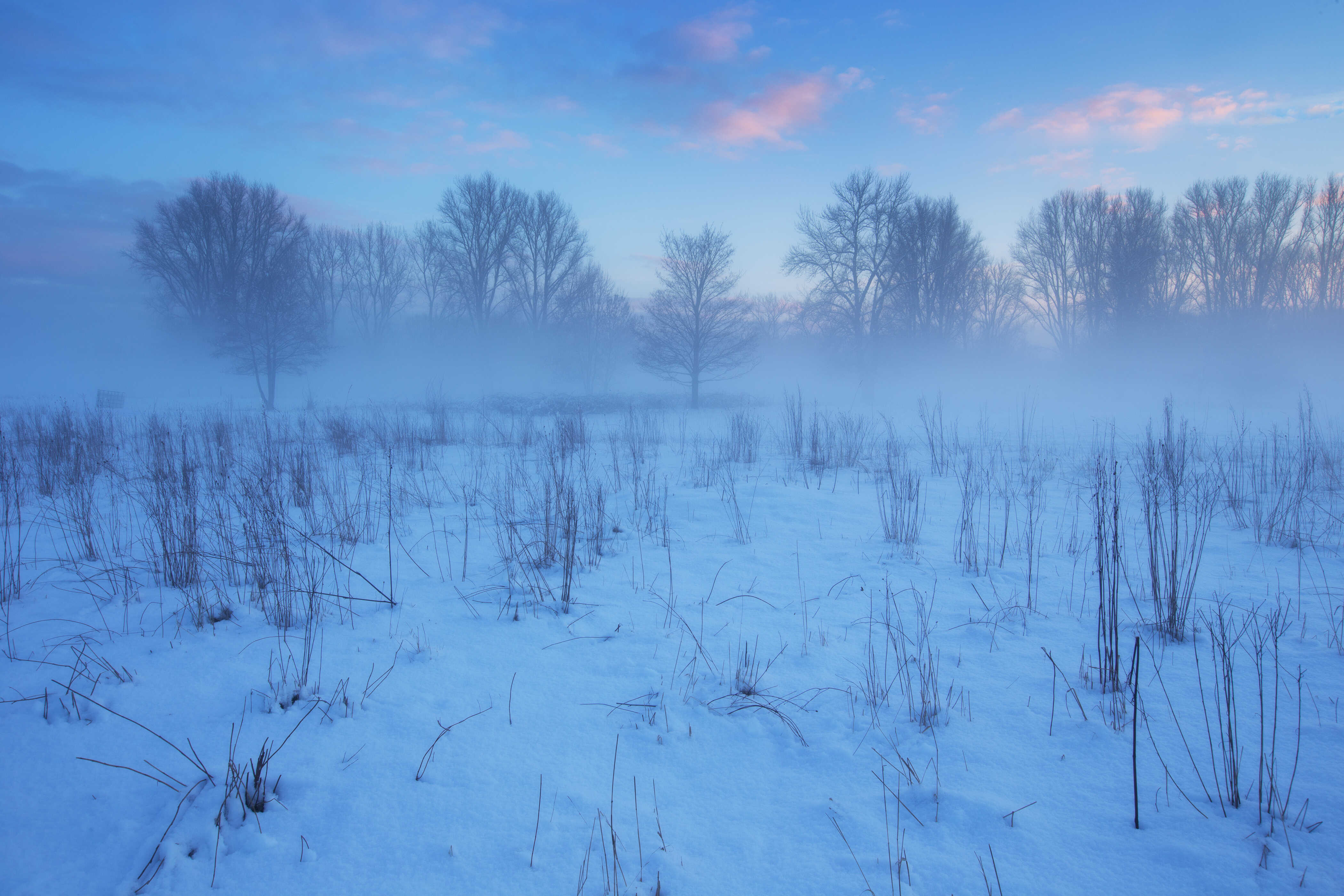Nebel am Waldrand in den Siegauen im Winter