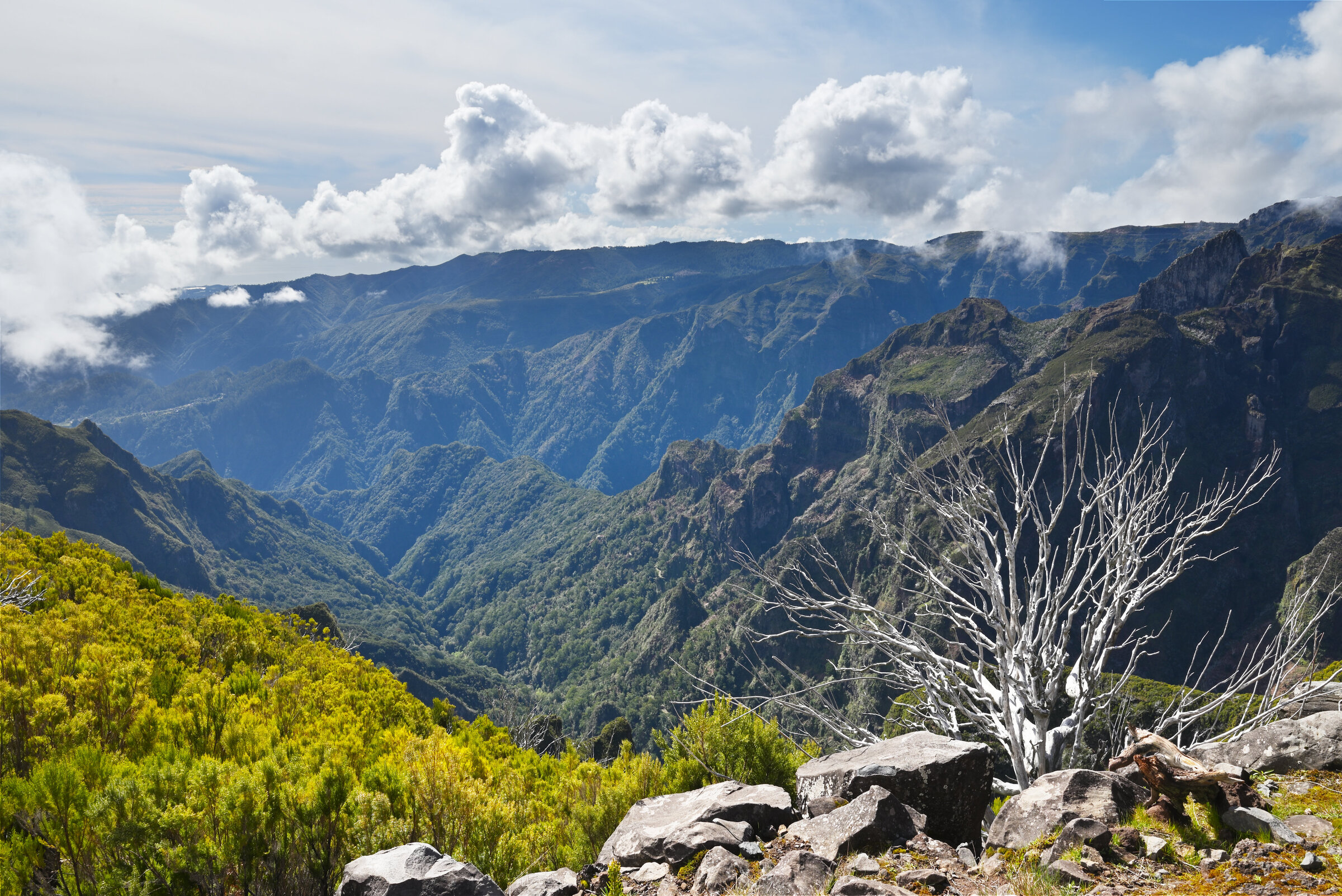 2024-04-Madeira_2104