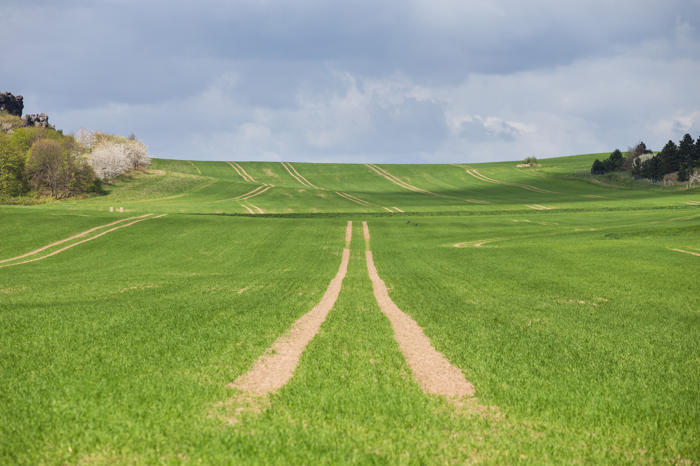 Traktorspuren im Feld