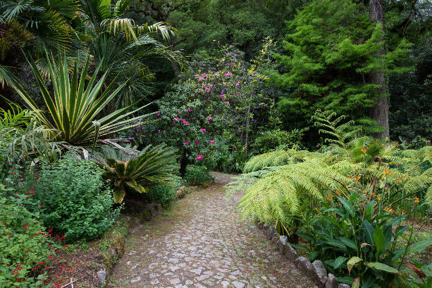 Weg durch einen exotischen Garten in Sintra