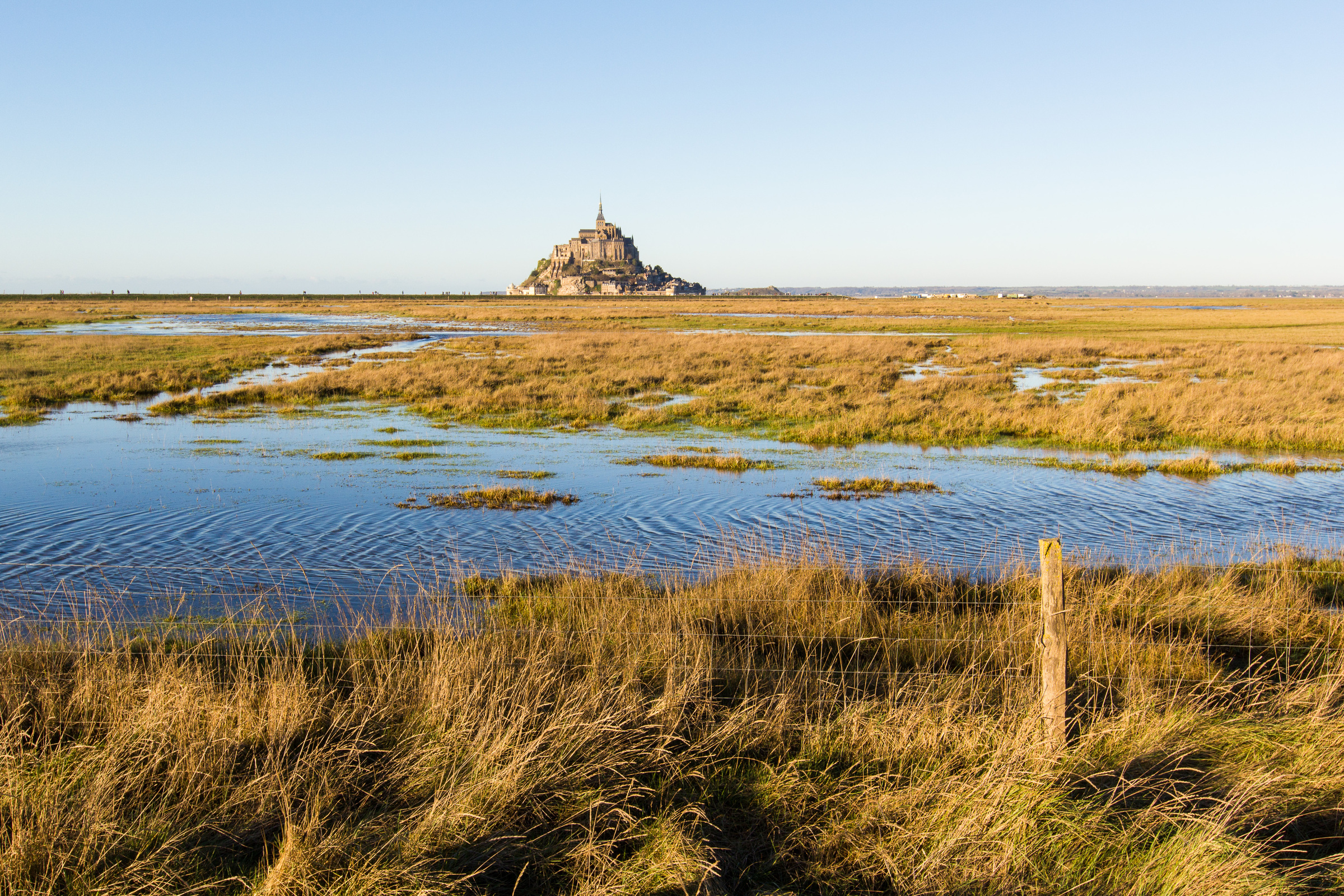 überflutete Wiese am Mont-Saint-Michel