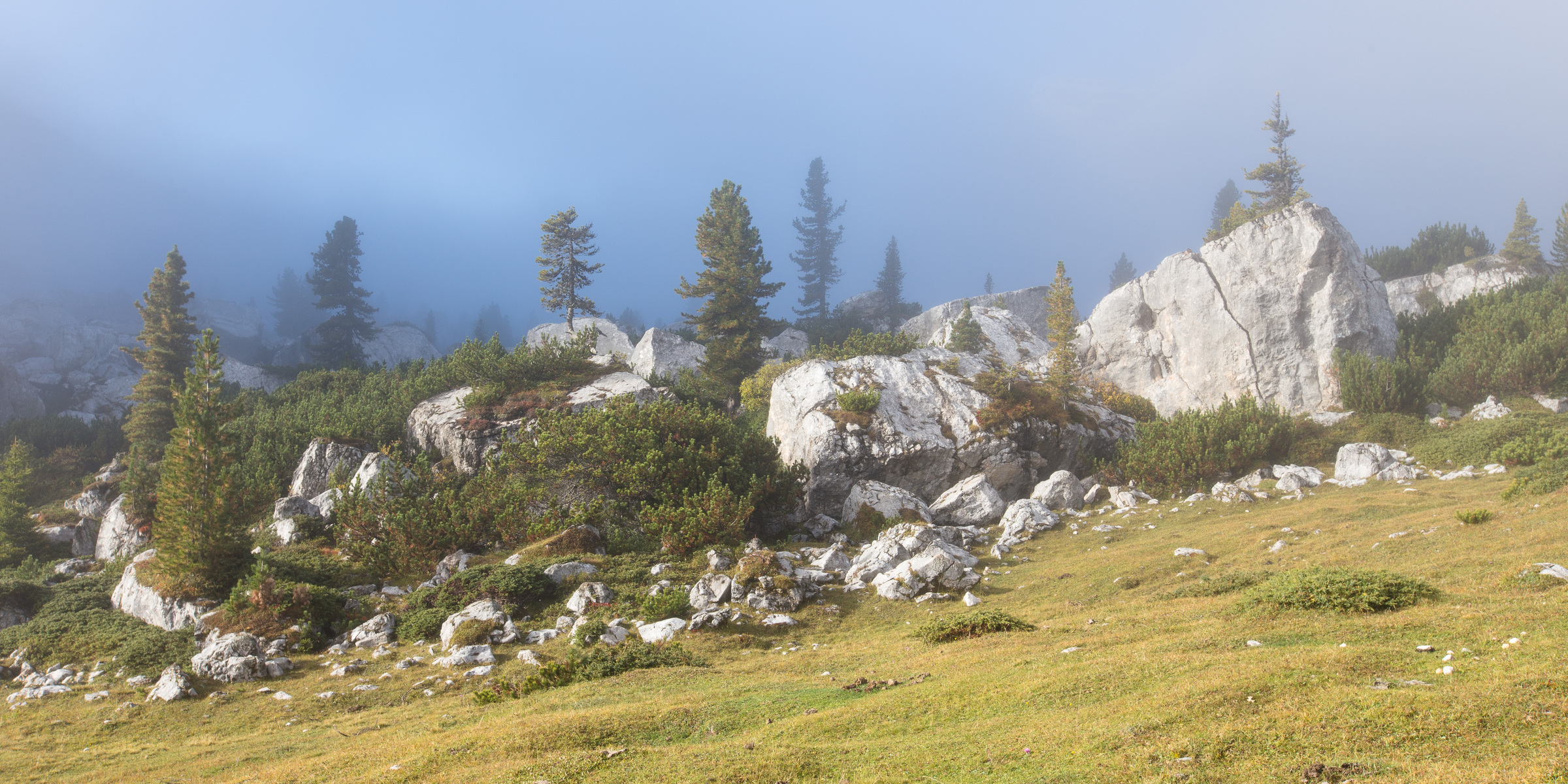 Nebelstimmung im Naturpark Fanes-Sennes-Prags