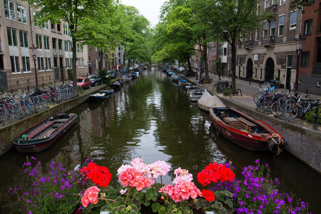 Gracht mit Blumen in Amsterdam