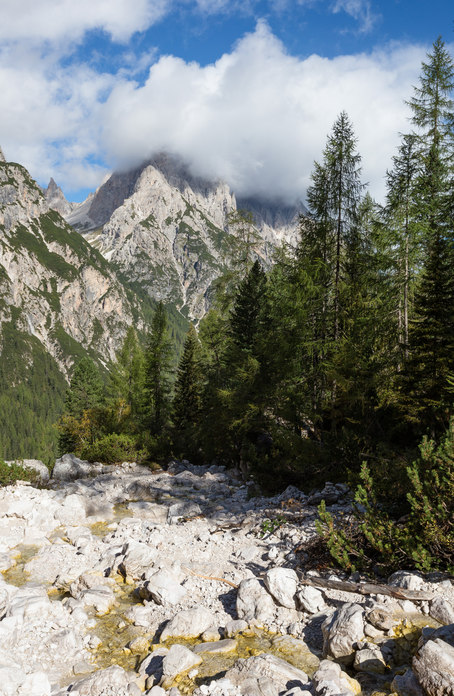 Bach im oberen Innerfeldtal